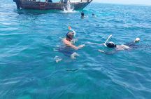 Private Full Day Safari Blue Tour
