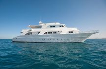 Dolphin House Reef Snorkeling Trip With Transport – Marsa Alam