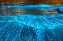 Bioluminescence by kayak or SUP to Los Arcos Puerto Vallarta
