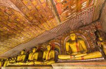 Sigiriya and Dambulla Day Tour from Kalutara All Inclusive