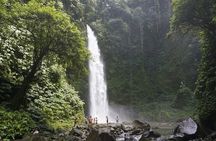 Bali Private Tour Nung-Nung Waterfall and Tanah Lot Temple 
