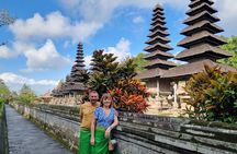 Bali Private Tour Nung-Nung Waterfall and Tanah Lot Temple 