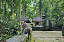 Bali Private Tour Nung-Nung Waterfall and Tanah Lot Temple 