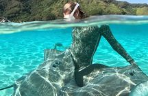  Lagoon and Marine Wildlife Tour in Moorea