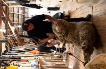 Mt. Hay Farm Experience Genuine Country Farming(Carbon Positive)