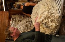 Mt. Hay Farm Experience Genuine Country Farming(Carbon Positive)
