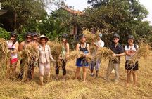 Half Day Ho Chi Minh City Countryside Bike Tour