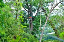 Phuket Jungle Xtreme Adventure