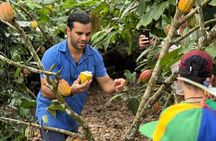 Chocolate Tour Premium: Lunch & Transportation