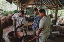 Chocolate Tour Premium: Lunch & Transportation