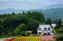 From Nagoya: Kamikochi - Enchanting Landscapes - Small Group Tour