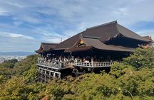 Kyoto Morning Highlights: Fushimi Inari, Kiyomizu-dera & Gion
