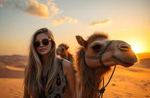 Sharm El-Sheikh: Camel Riding, Stargazing, BBQ Dinner & Show