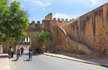 Tiout and Taroudant Guided Historical and Cultural Day Trip