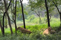 Wild Life Jeep Safari Tour at Bannerghatta with Private Transfer