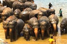 From Colombo: Overnight Tour to Kandy and Transfer to Sigiriya