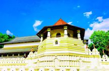 From Colombo: Overnight Tour to Kandy and Transfer to Sigiriya