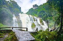 Pha Dok Siew Nature Trail & Doi Inthanon National Park From Chiang Mai