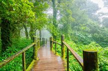 Doi Inthanon National Park, Waterfall & Royal Project Day Tour From Chiang Mai