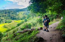 Full Day Doi Inthanon and Pha Dok Siew Trek from Chiang Mai
