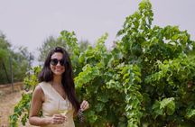 Malaga: Vineyard and Cellar Visit with 6 Top Wines and tapas