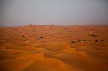 Dubai Desert Safari Camel Ride and ATV Bike with BBQ Dinner