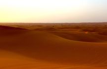 Dubai Desert Safari Camel Ride and ATV Bike with BBQ Dinner