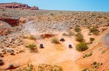 Greater Zion: UTV Ride and Rappel Combo Adventure