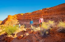 Greater Zion: UTV Ride and Rappel Combo Adventure