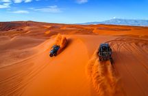 Greater Zion: Extreme Adrenaline UTV Tour in Sand Hollow