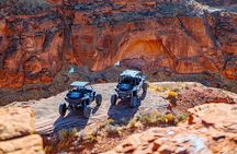 Greater Zion: Epic Box Canyon UTV Tour