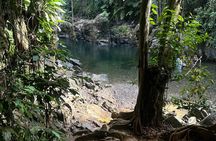 Explore El Yunque Tour Adventure