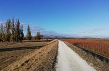 Coast to Vineyards Self-Guided Scenic Cycle Tour from Napier