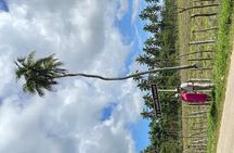 Tongatapu West Coast N East Coast Island Tour