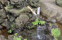 Lunch & Cultural Tour