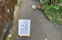  Manga Artist Experience with Professional Guidance in Tokyo