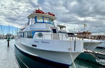 2-Hour Oahu Whale Watch from Ala Wai Harbor, Waikiki