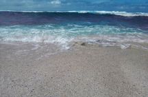 Tongatapu West Coast N East Coast Island Tour