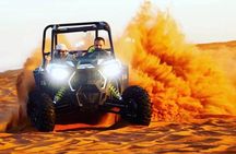 Desert Safari in a Private 4x4 Vehicle, Dune bashing, Camel Ride