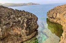 Nusa Penida Private Full Day West Island Tour From Bali