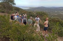 Olbia: visit a myrtle-making factory with tasting