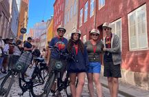 3 hour Copenhagen Combined Food and Guided E-Bike Tour