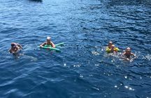 Sorrento Coast Highlights: 2-Hours Small Group Boat Tour