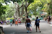 One Day Tour To Dunn River Falls and Tubing