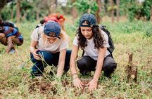 Coffee tour and Buffet Lunch with Kingstone Asilia (Arusha)