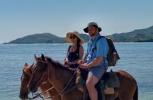 Horse Riding Puerto Plata