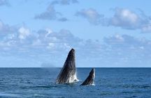 Private City Tour in Cabo Frio: Discover Paradise at Beira-Mar