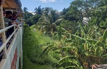 Scenic Railway Sugar Train Ride