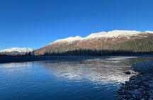 A Guided Alaskan Escape: Wildlife Sanctuary and Glacier Hiking