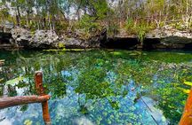 Cenotes El Pit and Nicte Ha Guided Scuba Diving